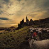 Sheeple (Black)